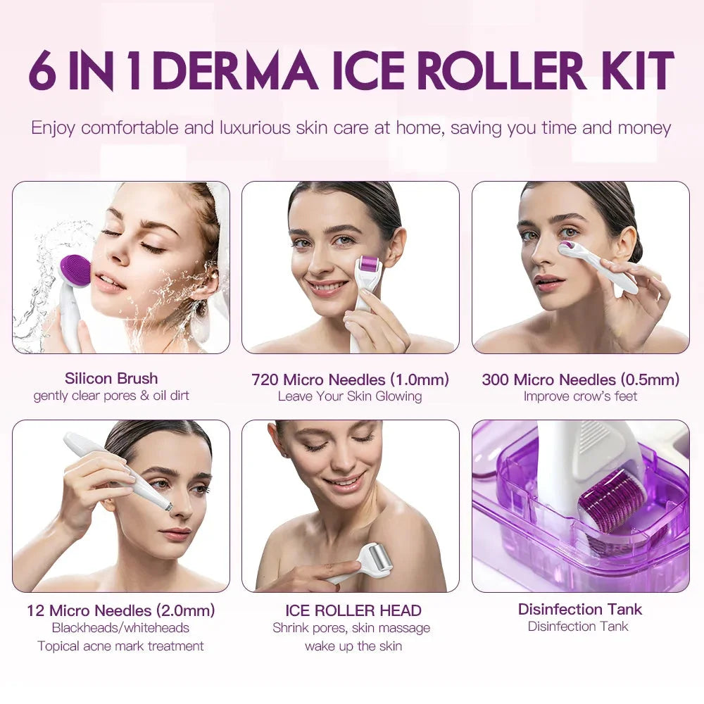 DRS 6 in 1 Ice Derma Roller Kit
